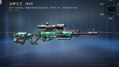 火线出击狙击枪全解析