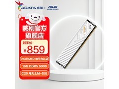 威刚XPG威龙32GB DDR5 6000电竞内存