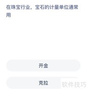 蚂蚁新村：宝石计量单位揭秘