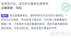 蚂蚁新村：宝石计量单位揭秘