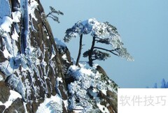 陆毅青松诗意解析