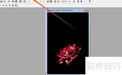 PolyView图像最大化设置方法
