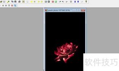 PolyView图像最大化设置方法