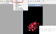 PolyView图像最大化设置方法