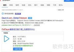 PotPlayer免费安装指南