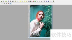 PolyView调色：减少图片颜色数