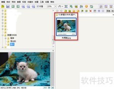 FSViewer图片补光技巧