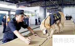 海关扣货怎么办？快速处理指南