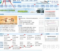 海关信息网查商品数据指南