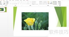 镜花水月：PPT图片美化技巧