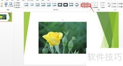 镜花水月：PPT图片美化技巧