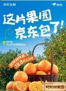 冬日“甜蜜炸弹”来袭！京东生鲜“包园”耙耙柑12月20日源头直发