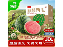 京鲜生无籽麒麟西瓜，满119减64.9，59.9元带回家