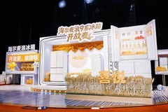 海尔冰箱：继品牌领跑后，一个系列也能领跑行业