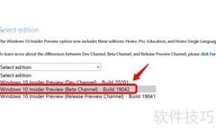 Win10 20H2 ISO下载指南