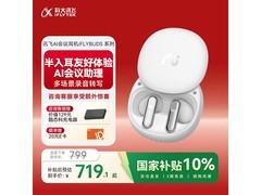 科大讯飞iFLYBUDS 2冷霜白耳机优惠来袭