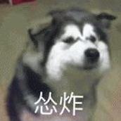 重装无限：雷龙打法全攻略