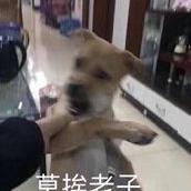 重装无限：雷龙打法全攻略