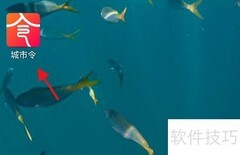 城市令APP公交卡辅卡申请指南