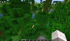 我的世界：移动版豹猫怕什么？