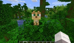 我的世界：移动版豹猫怕什么？