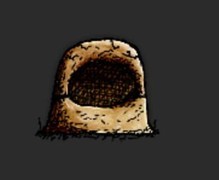 希望之村厨师生存指南