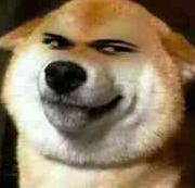 奥拉星暴击伤害真相揭秘