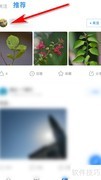 威锋私信发送方法