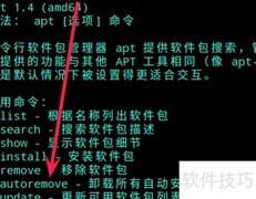 deepin如何卸载软件
