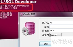 PL/SQL Developer汉化指南