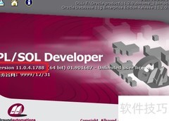 PL/SQL Developer汉化指南