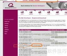 PL/SQL Developer汉化指南