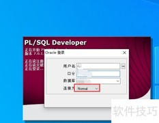 PLSQL连接数据库指南