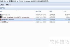 PLSQL Developer安装指南