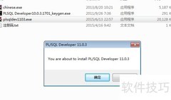 PLSQL Developer安装指南