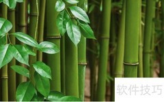 翠竹砍下一枝春