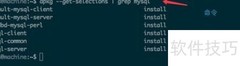 Debian下MySQL安装与卸载