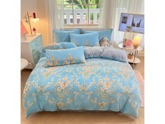 多兰诗牛奶绒四件套95元