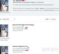 Tineye以图搜图使用教程