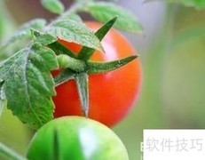 高血压食疗妙方推荐