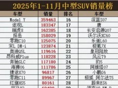 2025中型SUV销量榜：国产崛起合资承压，新能源成增长主力