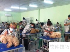 宠物美容学校哪里收费低