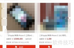 淘宝1元抢拍真相揭秘