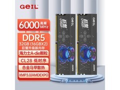 GeIL巨蟹马甲条32G DDR5 6000