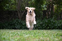 轻装上阵！尼康Z5II & Z6III承载你的盛夏出游记忆