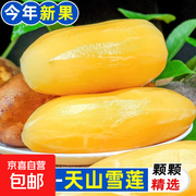 正宗云南天山雪莲果2斤装，仅6.9元现挖现发！