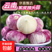 云南紫皮独头蒜大果精选，原价不低现仅 6.98 元