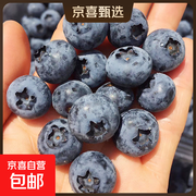 国产云南大果蓝莓，2盒15.9元，多买多划算！