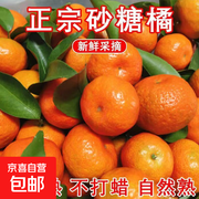 广西金秋砂糖橘2斤带箱，满68减5仅14.55元