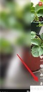 抖音火山版送火苗方法